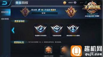 王者荣耀最新爆料贵族,神秘贵族生成系统揭秘  第3张